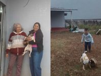 familia-voltava-para-a-venezuela-junto-com-cachorrinha-em-aviao-que-caiu;-video-mostra-crianca-brincado-com-o-animal-horas-antes-da-viagem