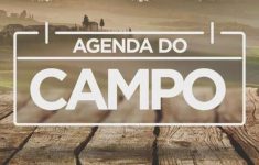 agenda-do-campo-da-semana-tem-feiras-de-inovacao-e-caminhadas-na-natureza