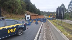 br-376:-caminhao-carregado-com-tomates-tomba-e-bloqueia-rodovia-no-sentido-santa-catarina