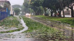 208-mil-unidades-consumidoras-ficaram-sem-energia-apos-temporais-no-oeste-e-sudoeste-do-parana,-diz-copel