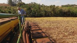 plantio-direto-e-tecnica-escolhida-entre-agricultores-apos-meio-seculo-de-sua-chegada-no-parana