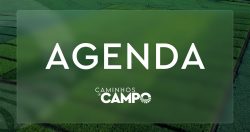 agenda-do-campo-da-semana-conta-com-cursos,-feira-sobre-cafe-e-caminhadas-na-natureza