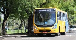 londrina-tera-onibus-de-graca-no-segundo-turno-das-eleicoes;-veja-como-vai-funcionar