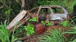 moradores-encontram-caixoes-proximo-a-carro-incendiado-as-margens-de-rodovia-no-parana