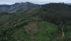 deputados-estaduais-aprovam-projeto-que-flexibiliza-licenciamento-ambiental-no-parana