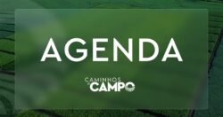 agenda-do-campo-da-semana-conta-com-palestras-e-espetaculos-de-natal-no-parana