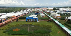 cooperativa-abre-700-vagas-temporarias-de-emprego-para-evento-em-cascavel