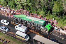 carga-de-r$-75-mil-em-energeticos-e-saqueada-apos-carreta-tombar-em-rodovia-do-parana