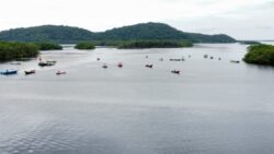 pescador-desaparece-apos-batida-entre-taxi-nautico-e-canoa-em-rio-do-parana