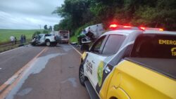 carro-e-ambulancia-batem-de-frente-e-motoristas-morrem-em-rodovia-do-parana;-idosa-sobreviveu